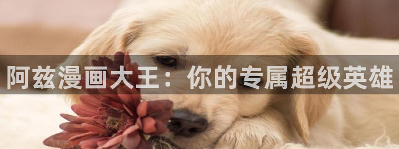 漫画之家免费漫画